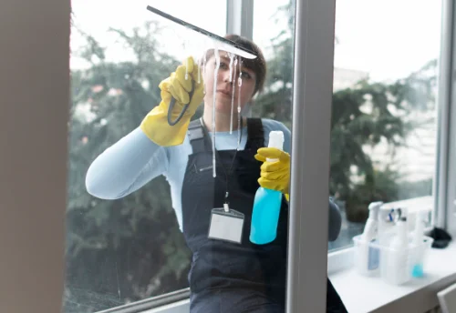 Nettoyage de vitres intérieures et extérieures à Saint-Michel-de-Veisse